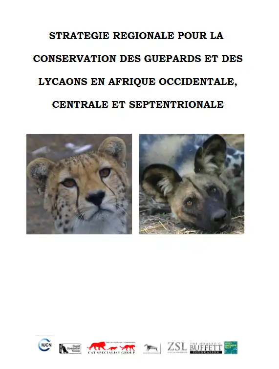 Capture d’écran 2024-09-09 100800.png